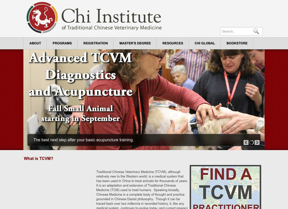 CHI institute